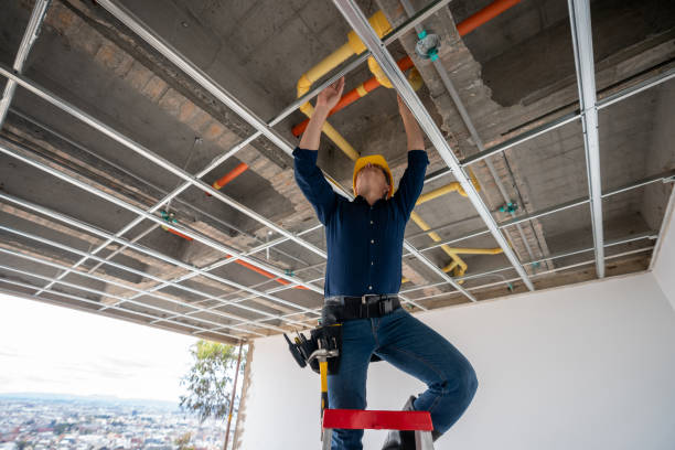 Best Water Leak Repair  in Stewartville, MN