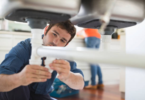 Best Local Plumber Services  in Stewartville, MN